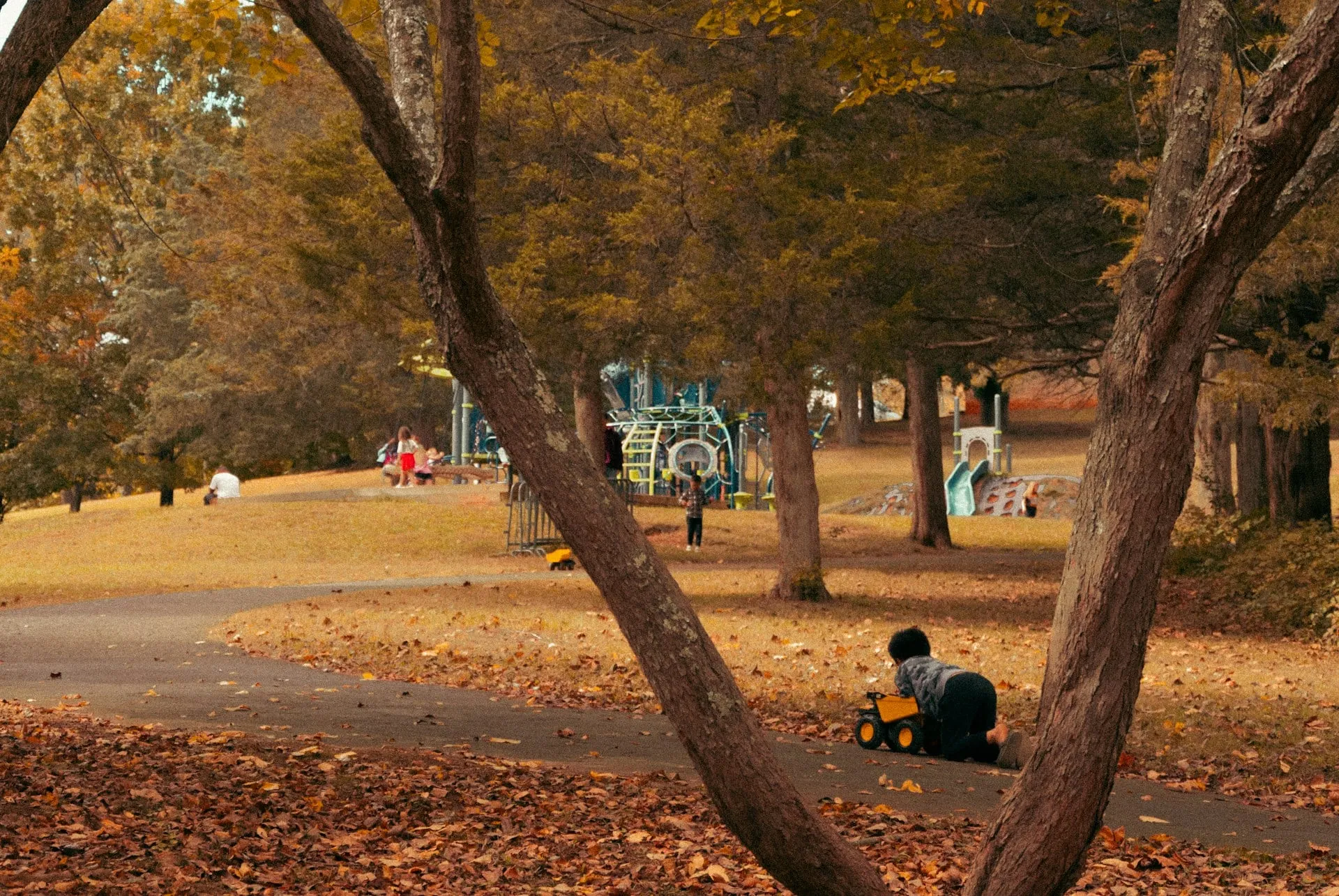Park path covered in autumn leaves with a playground in the background