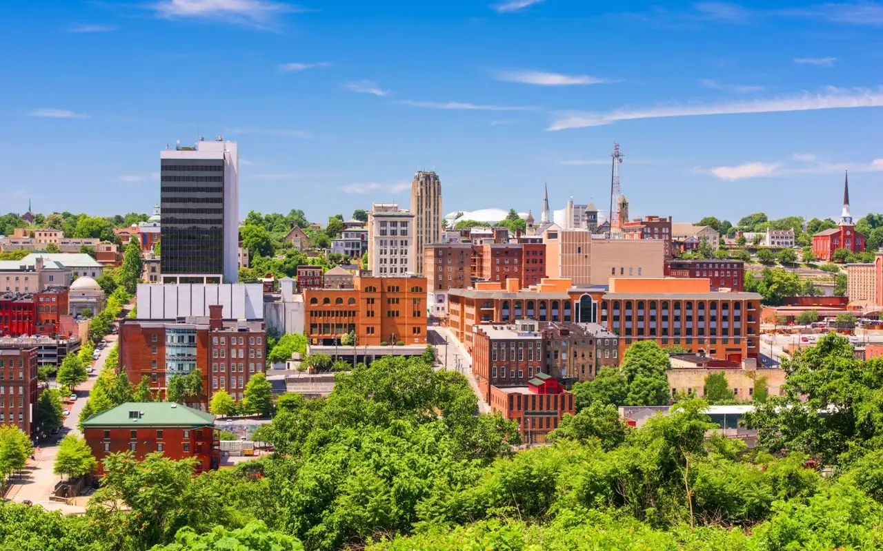 Downtown Lynchburg's brick skyline rising above the trees