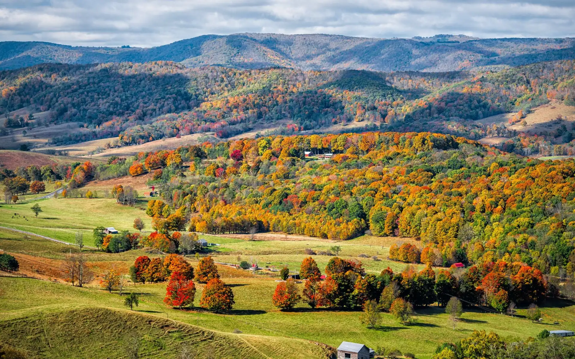 Forest, Virginia